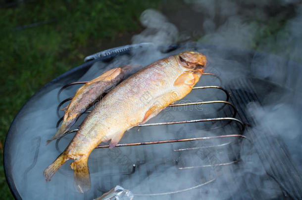 烤架熏制的鱼向barbecue吃烤烧肉的野餐
