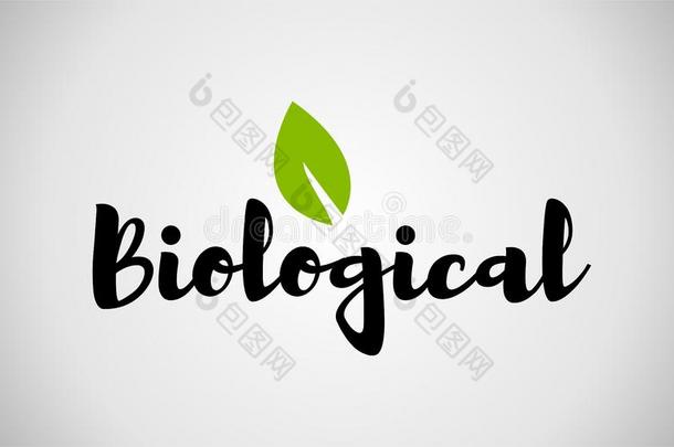 生物学的绿色的叶子手写的文本白色的背景