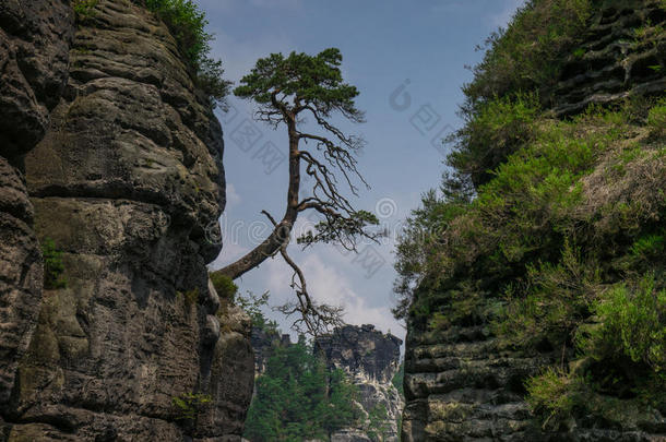 指已提到的人风景关于易<strong>北河</strong>砂岩山采用德国