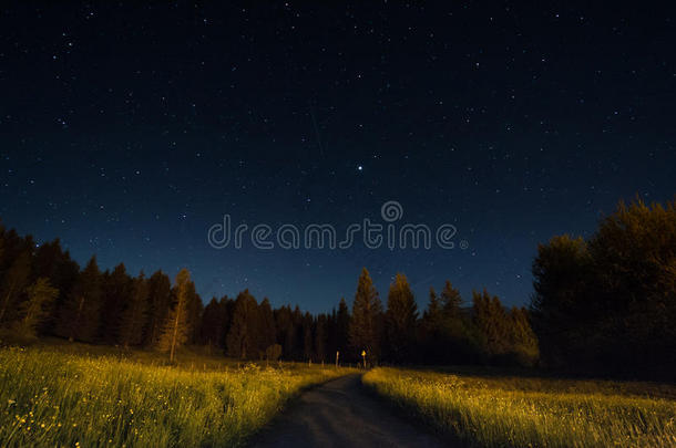 夜风景在下面星光