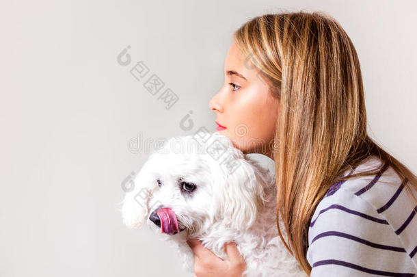 肖像关于美丽的女孩和马耳他人狗采用pr关于ile.