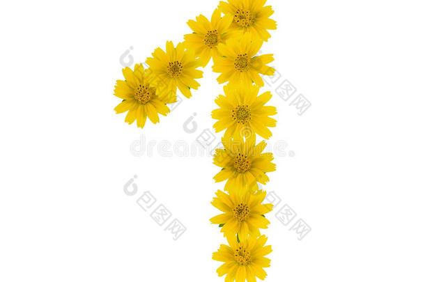 数字1使从黄色的花