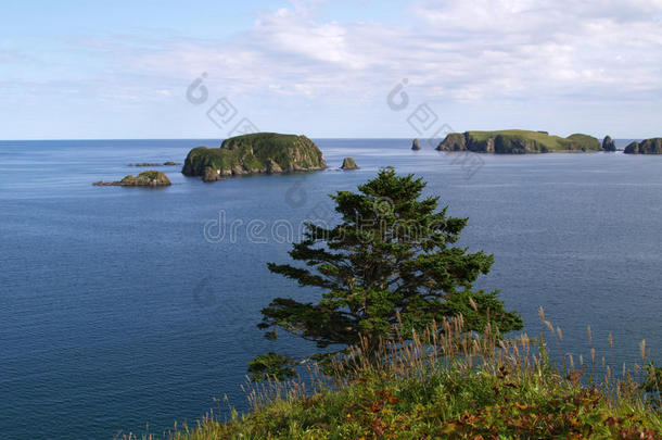 海洋的风景