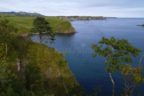 海洋的风景