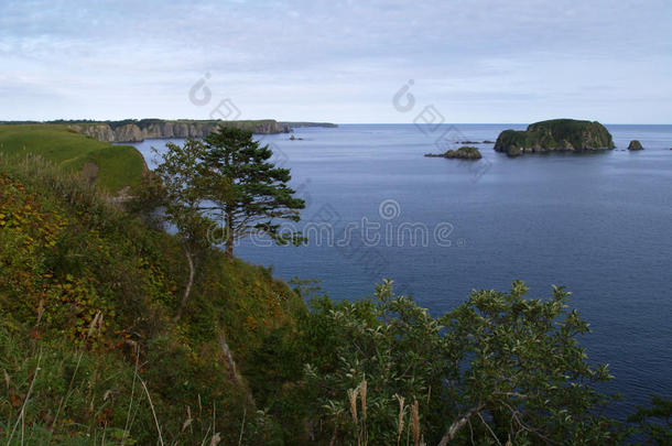 海洋的风景