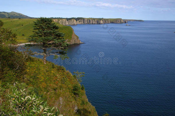 海洋的风景