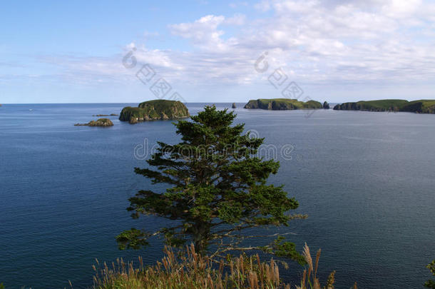 海洋的风景