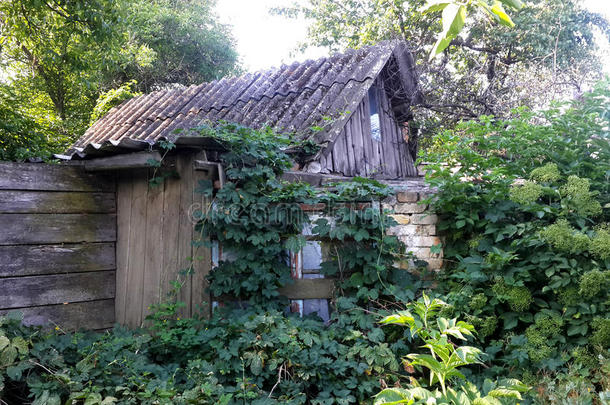 背景.,指已提到的人老的长得很快的神秘的房屋.小屋