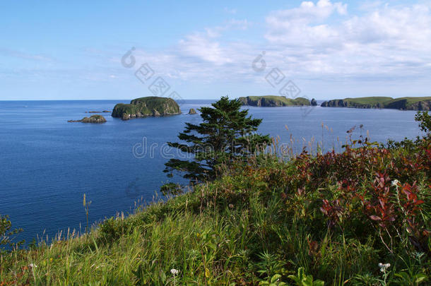 海洋的风景