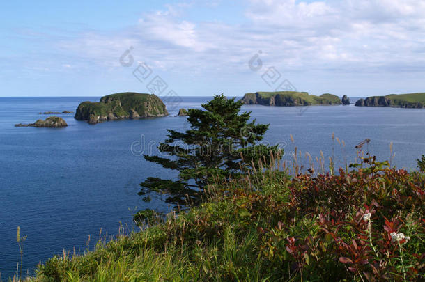 海洋的风景