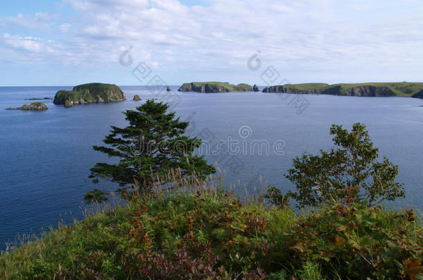 海洋的风景