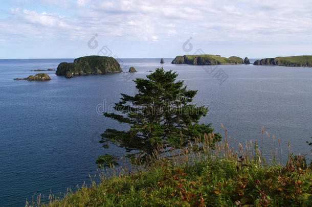 海洋的风景