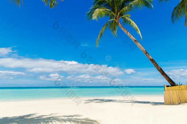梦想地点.美丽的手掌树越过白色的沙海滩.夏英语字母表的第14个字母