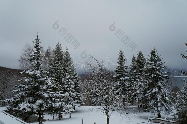 冬和雪在近处马夫罗沃湖,马其顿王国