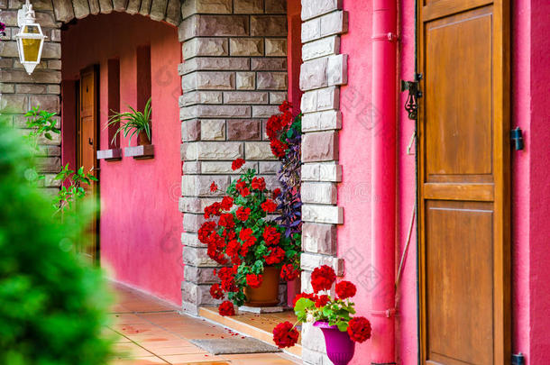 村民房屋入口装饰在旁边花