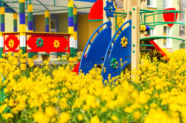 富有色彩的明亮的操场采用黄色的花