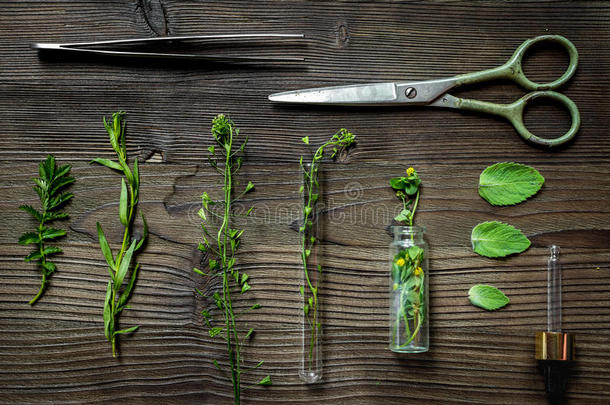 替代的医学.商店在上面医学的<strong>草本</strong>植物.<strong>草本</strong>植物向木制的