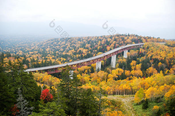 三国走过采用秋,北海道,黑色亮漆