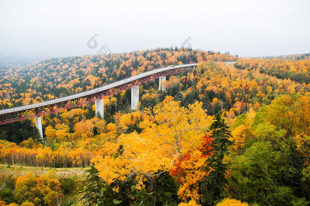 <strong>三国</strong>走过采用秋,北海道,黑色亮漆