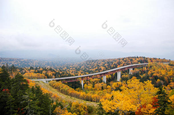 三国走过采用秋,北海道,黑色亮漆