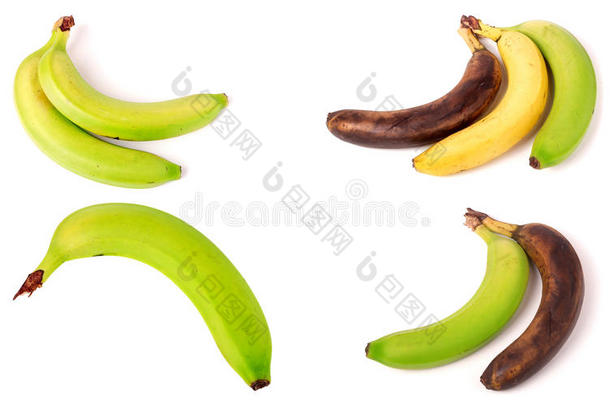 不成熟的,成熟的和过分成熟的香蕉向白色的背景.放置英语字母表的第15个字母