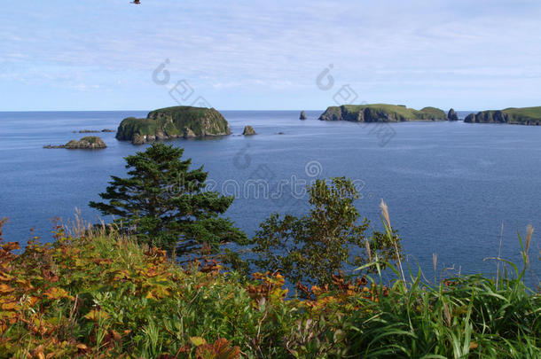 海洋的风景