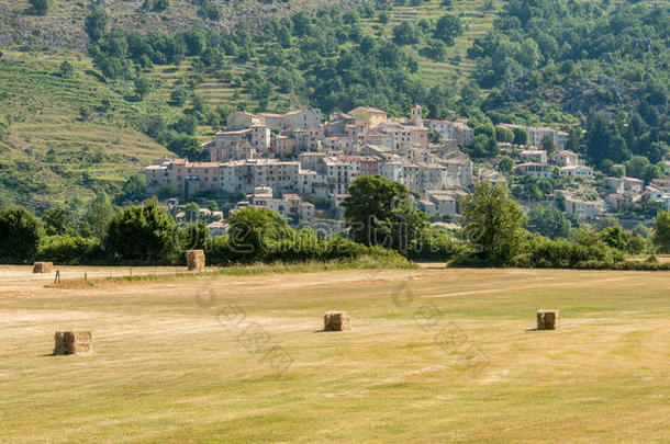 风景优美的草地风景采用普罗旺斯,法国