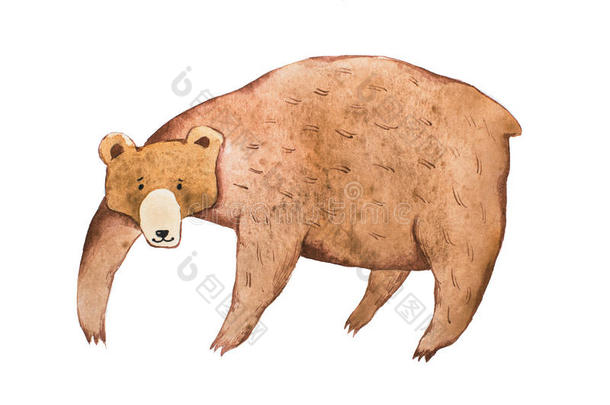 棕色的熊疲惫的和水彩技巧透明水彩画如图所示