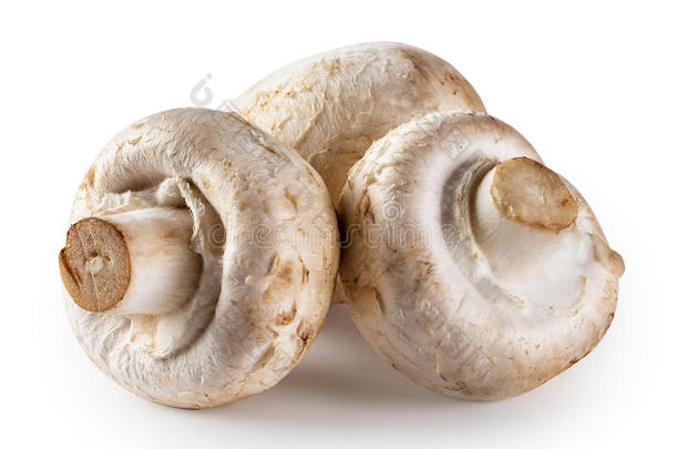 num.三生的蘑菇食用香草隔离的向白色的背景