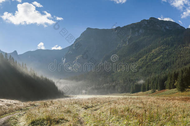 有雾的山谷采用mounta采用s.