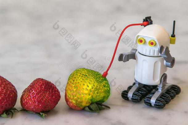 玩具机器人和草莓