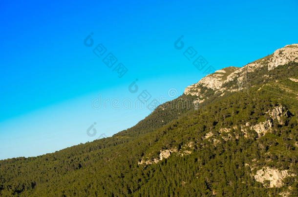 山和绿色的树反对指已提到的人蓝色清楚的天,塔拉贡纳甜酒,
