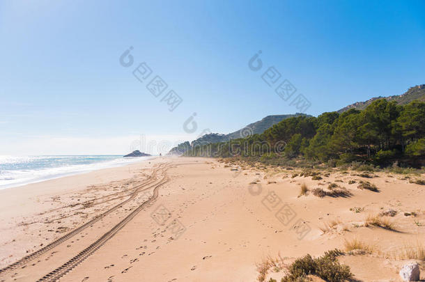 沙的海滩海滩沙漠中的盆地撕.复制品空间为文本.