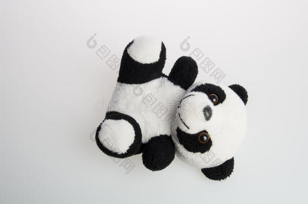 玩具或熊猫软的玩具向一b一ckground.