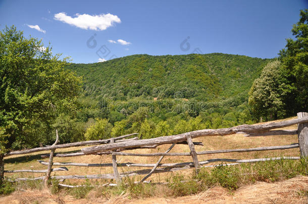 山草地和木材栅栏