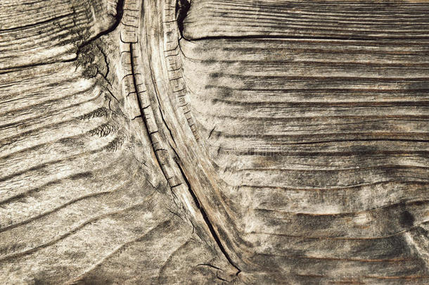 抽象的形状关于<strong>龋齿</strong>向木材