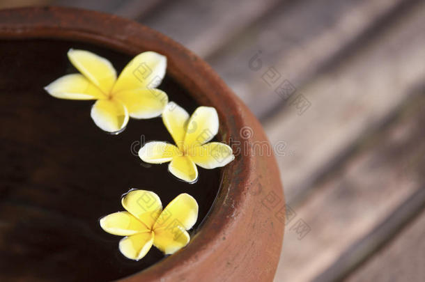 黏土n.大罐和花梅花或鸡蛋花dec或ated向水.