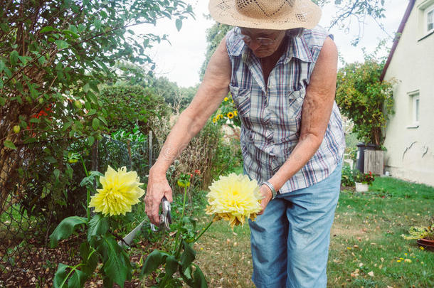 <strong>领取</strong>退休、养老金或抚恤金的人是（be的三单形式锋利的花采用花园