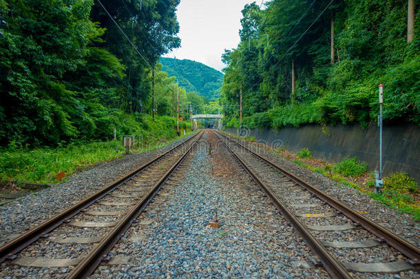 铁路在近处关于阿拉山山竹子小树林缆绳火车线条在哥拉弓琴