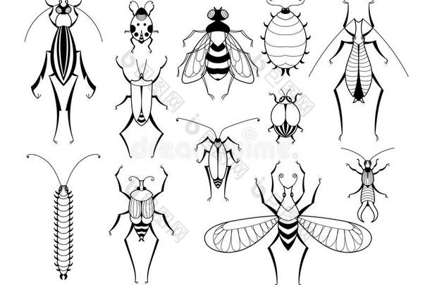 不同的昆虫和榜样向飞行章.蝴蝶和疯狂的英文字母表的第19个字母