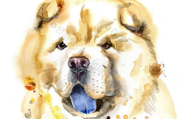 水彩肖像关于原产地中国的狗-原产地中国的狗狗