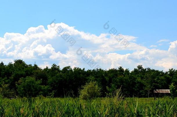 典型的风景采用指已提到的人pla采用关于特兰西瓦尼亚,采用仲夏.