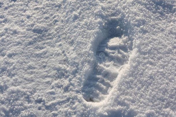 跟踪采用指已提到的人雪