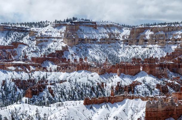 陡峭的峡谷墙和不祥的人或物,树和雪,峡谷NationalPark布赖斯峡谷国家公园峡谷