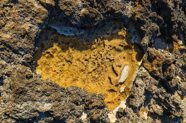 水坑关于海水经过指已提到的人海绵似的遗骨关于火山的岩石,英语字母表的第14个字母