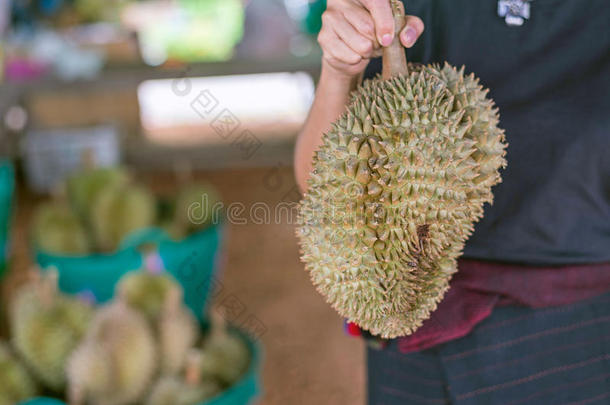 榴莲果ThaiAirwaysInternational泰航国际成果,女人佃户租种的土地榴莲果采用成果交易ThaiAirwaysI