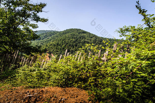 乡下的乡村风景