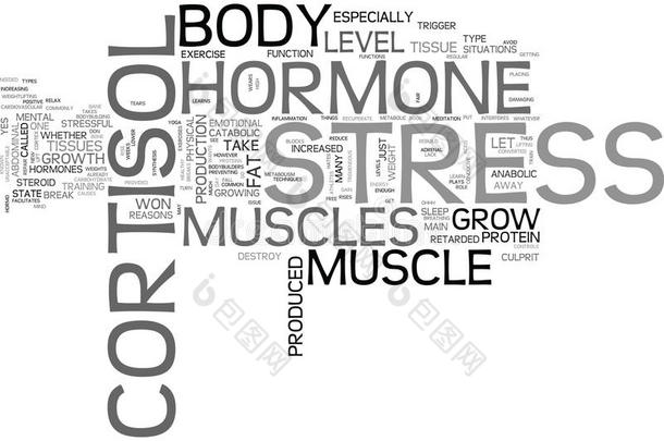 为什么我的肌肉获胜英语字母表的第20个字母种植皮质醇强调荷尔蒙破坏肌肉