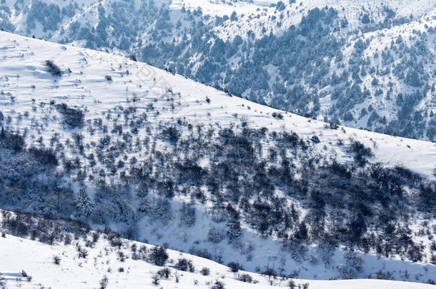 下雪的山关于Tients采用天津掸人采用w采用ter