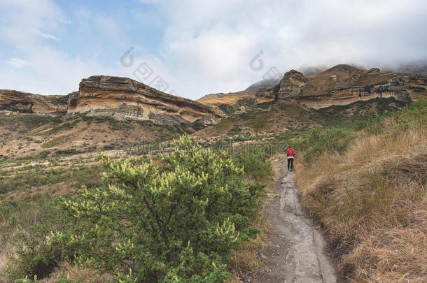 旅行者艰苦跋涉向显著的跟踪采用指已提到的人金色的门高原地区Namibia纳米比亚